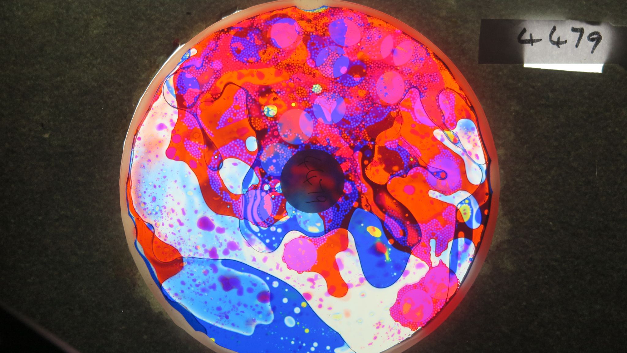 BV4479 bubble vision oil wheel